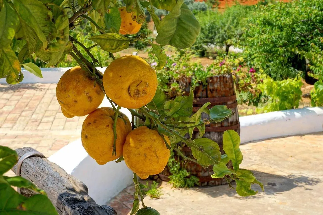 Villa Monte De Madrinha Albufeira